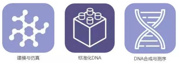 微信图片_20181128152434.jpg
